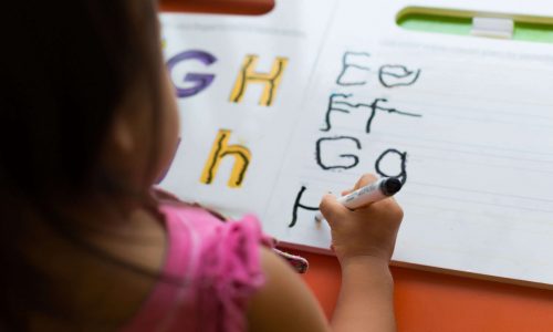 Phonics Booster & Spelling Support